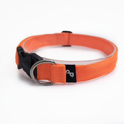 Collar Naranja neón